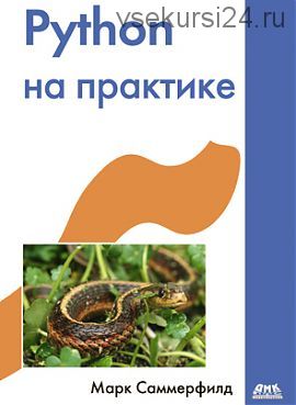 Python на практике (Марк Саммерфилд)