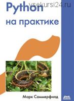 Python на практике (Марк Саммерфилд)