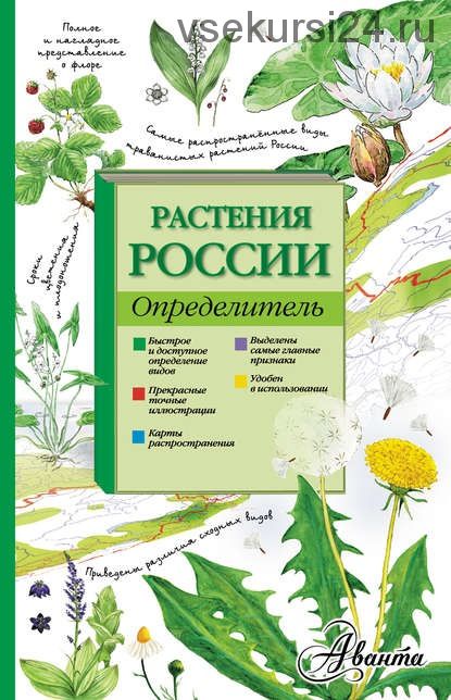 Растения России. Определитель (Ирина Пескова)