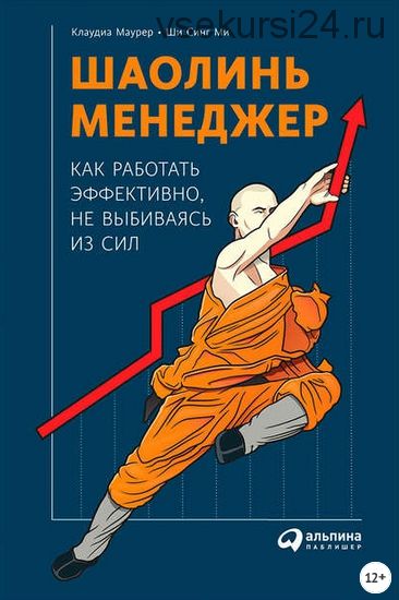 Шаолинь-менеджер: Как работать эффективно, не выбиваясь из сил (Клаудиа Маурер)