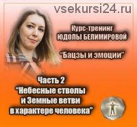 Бацзы и эмоции. Часть 2 «Небесные стволы и Земные ветви» (Юдола Белимирова)