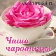 Чаша чаровницы (Алена Полынь)