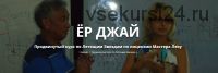 Ёр Джай. Продвинутый курс по Летящим Звездам. Четвертая часть (Оксана Сахранова)