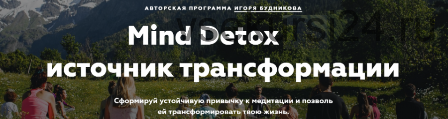 Mind Detox 2.0. Навсегда - без ограничений по времени (Игорь Будников)