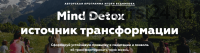 Mind Detox 2.0. Навсегда - без ограничений по времени (Игорь Будников)