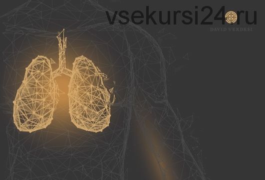 Практика желаний. Эксклюзивный двухдневный вебинар Амрита (Дэвид Вердези)