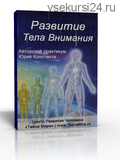 Развитие Тела Внимания, 2015 (Юрий Константа)