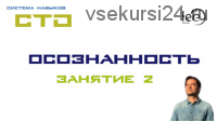 СТО «Осознанность». Занятие №2 (Lee)