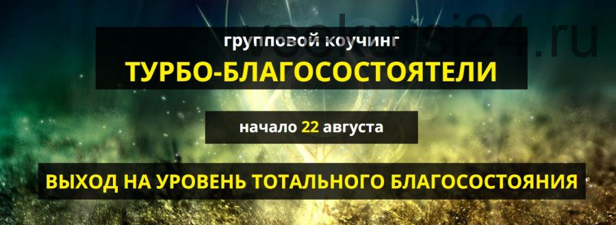 Турбо-благосостоятели, 2017 (Александр Шурин)