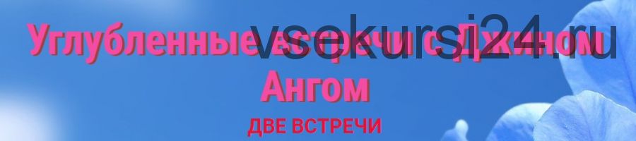 Углубленные встречи с Джином Ангом. Две встречи (Джин Анг)