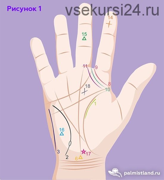 Ведическая Хиромантия - как предсказывать, используя только большой палец (Вячeслaв Кoвaльчyк)