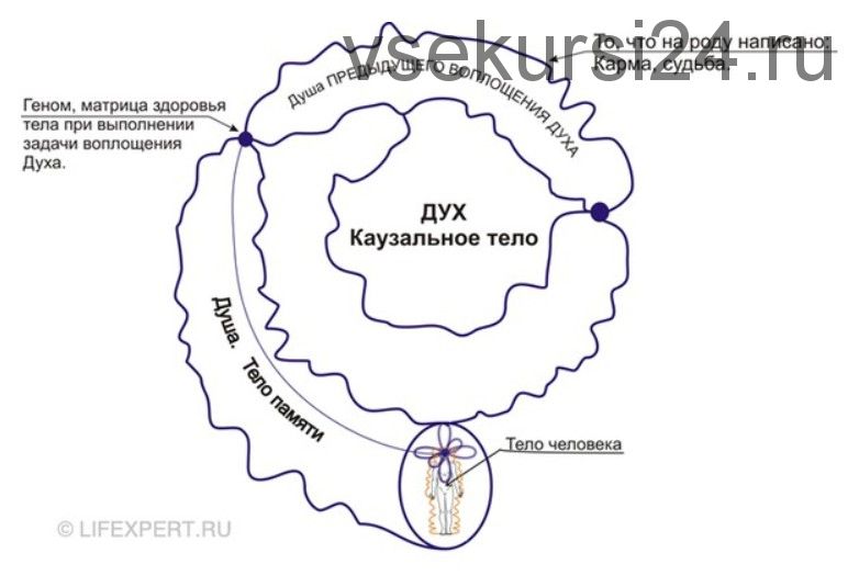 [Lifexpert] Инфокоррекция программ прошлых жизней (Вячеслав Губанов, Дмитрий Губанов)