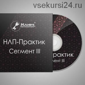 НЛП-Практик. Сегмент III — Модели сбора информации (Максим Шумаков)