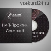 НЛП-Практик. Сегмент II - Речевые стратегии (Максим Шумаков)