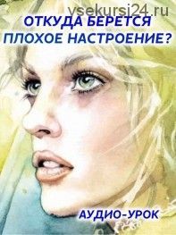 Откуда берется плохое настроение? (Ирина Норна)