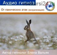 От панических атак - визуализация (Елена Вальяк)