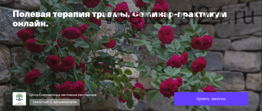 Полевая терапия травмы. Семинар-практикум онлайн (Елена Веселаго)