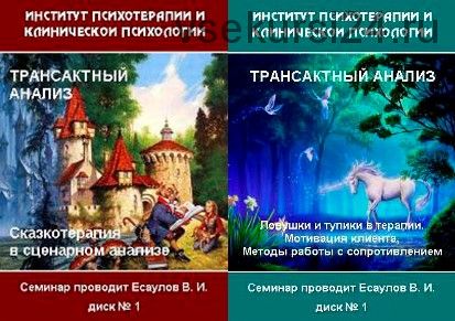 Трансактный анализ. Циклы 4, 5 (Владимир Есаулов)