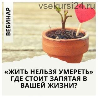 Жить нельзя умереть. Где стоит запятая в вашей жизни? (Лиана Димитрошкина)