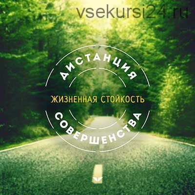 Жизненная стойкость: как быть сильнее любых трудностей (Николай Козлов)