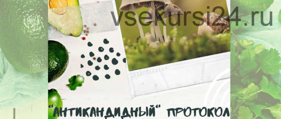 АНТИкандидный протокол (Светлана Литвиненко)