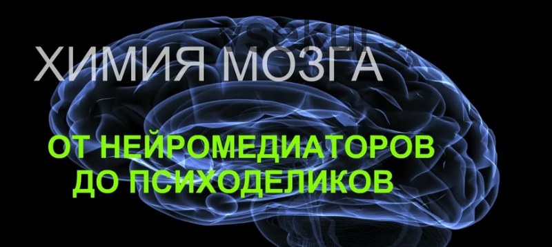 Химия мозга: от нейромедиаторов до психоделиков, 2018 (Вячеслав Дубынин)