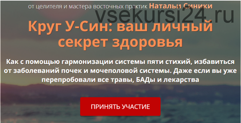 Круг У-Син: ваш личный секрет здоровья, пакет «Стандарт» (Наталья Синика)