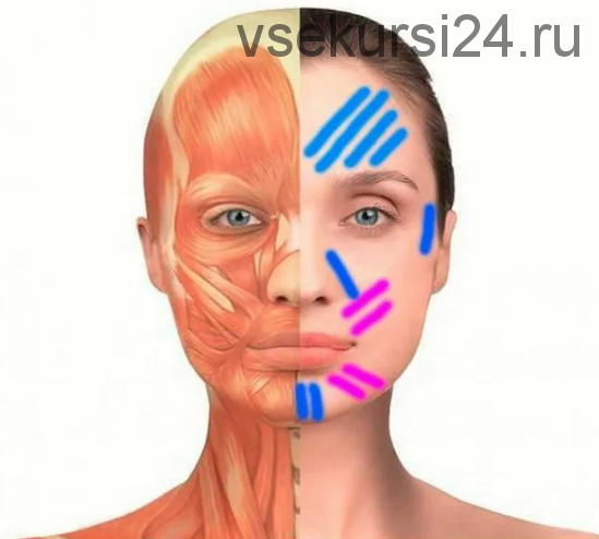 Лифтинг лица тейпами (Ольга Бистерфельд/Facefitnesslife)