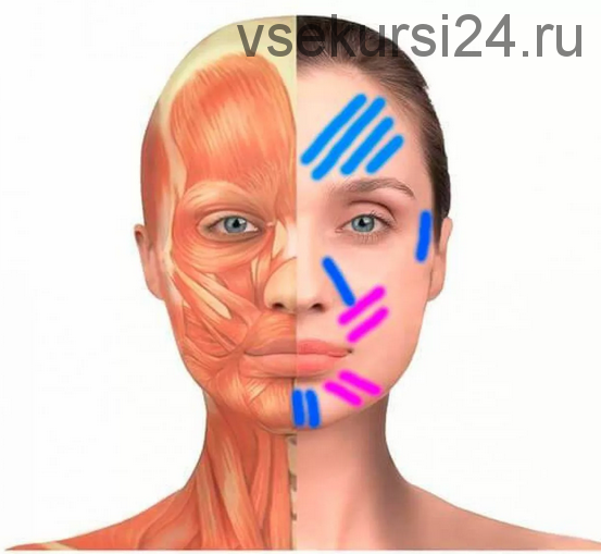 Онлайн-урок по тейпированию лица и шеи (Свeтлaнa Сoкoвикoвa)