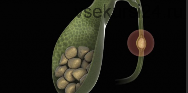 Особенности питания при камнях в желчном пузыре (Дарья Гусакова)