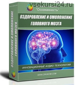 Оздоровление и омоложение головного мозга (для мужчин) (Игорь и Алла Ревенко)