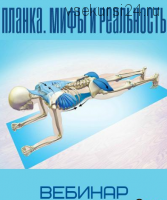 Планка. Мифы и реальность (Анна Воронина, Антон Шапочка)