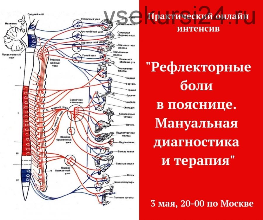 Рефлекторные боли в пояснице (Игорь Атрощенко)