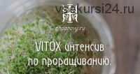 VITOX интенсив по проращиванию, 2017 (Гаврила и Татьяна Ждановы)