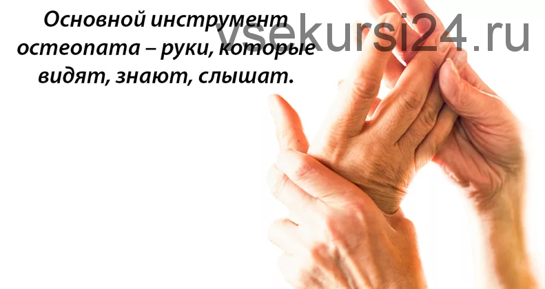 «Воспитание руки» в клинической остеопатической практике (Франсуа Мишель Джабаку)