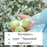 Здоровый кишечник, 2019 (Доктор Кадырова)