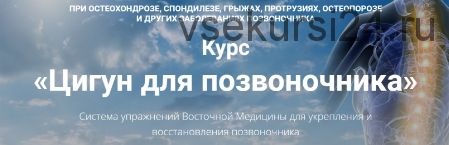 Здоровый позвоночник. Лечебно-восстановительный комплекс, блок PRO (Владимир Осипов)