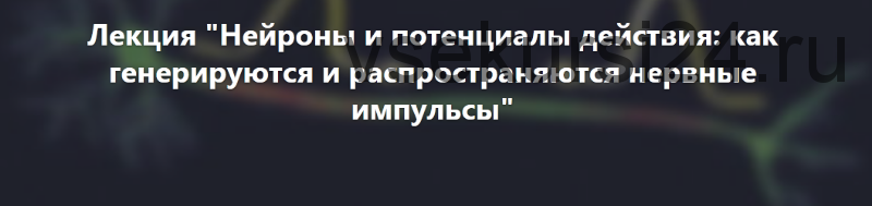 [Архэ] Нейроны и потенциалы действия (Вячеслав Дубынин)