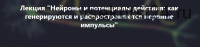 [Архэ] Нейроны и потенциалы действия (Вячеслав Дубынин)