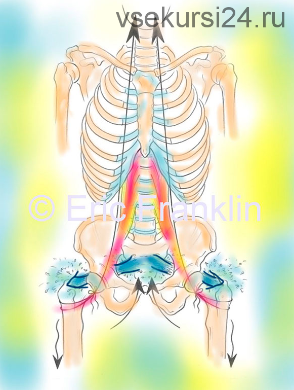 [Центр Практика] Поясничная мышца по методу Франклина