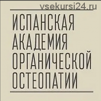 [Испанская школа остеопатии] Стопа, часть 1 (Антонио Гонсалес)