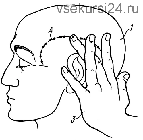 [Кинезиоцентр] Мимическая коррекционная гимнастика