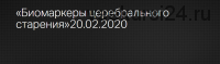 [Клиника Калинченко] Биомаркеры церебрального старения (Леонид Ворслов, Анастасия Прищепа)