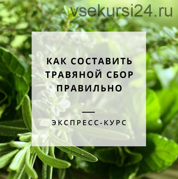 [Обитель] Как составить травяной сбор правильно (Яна Горбовская)