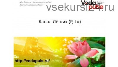 [Vedapulse] Канал Лёгких, диагностика и методы воздействия (Сергей Косинцев)