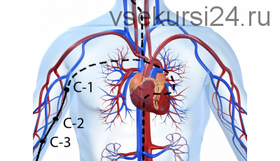 [Vedapulse] Канал Сердца, диагностика и методы воздействия (Сергей Косинцев)