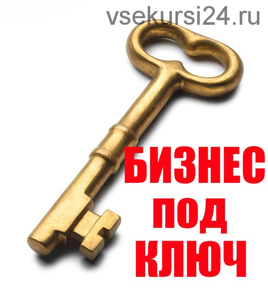 Бизнес под ключ. Как за 5 дней заработать минимум 10 000 рублей (Александр Сидоренко)