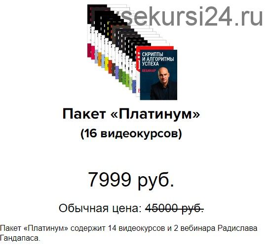 Зимняя распродажа, пакет «Платинум», 16 видеокурсов (Радислав Гандапас)