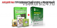 [EasyExcel] Excel базовый и продвинутый (Павел Коган)