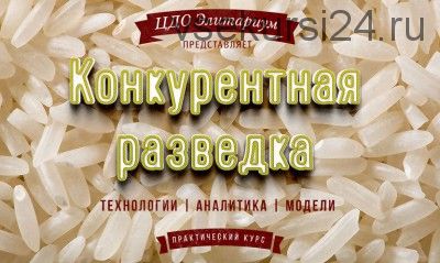 [Элитариум] Конкурентная разведка (Валерий Романов)